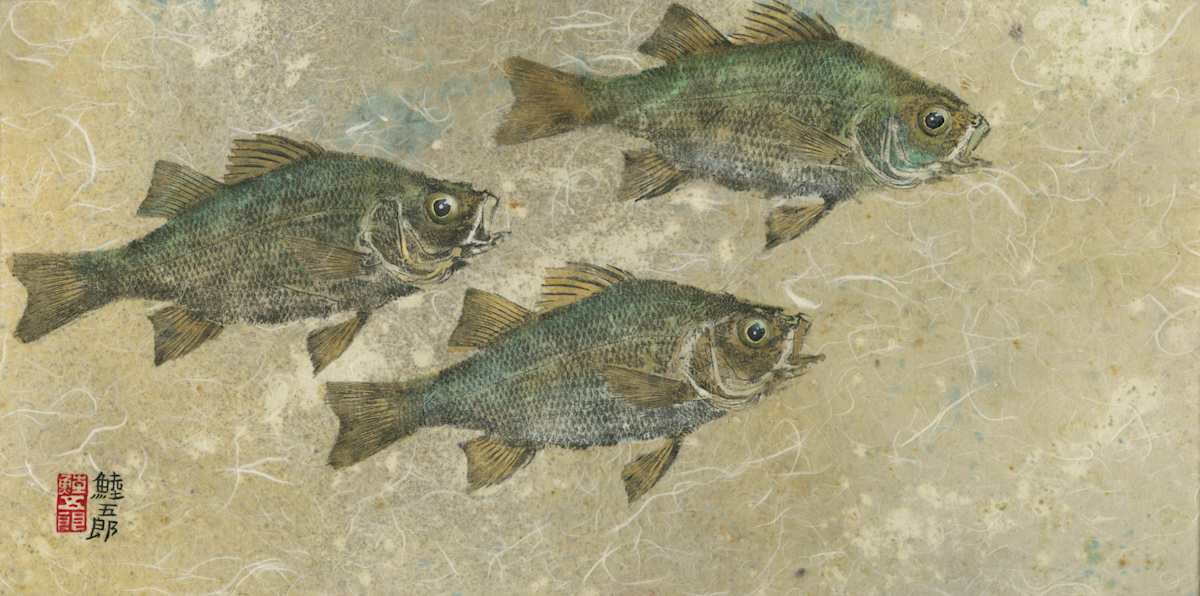White Perch Trio 1 (Giclee') #3/50 by Stephen Mutsugoroh DiCerbo  Image: White Perch Trio 1