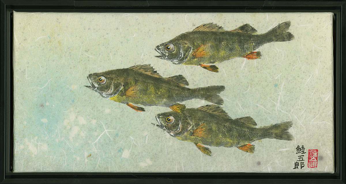 Yellow Perch Trio #5 , framed by Stephen Mutsugoroh DiCerbo  Image: Yellow Perch Trio #5