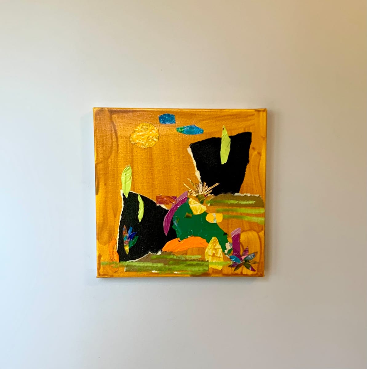 Scottsdale by Shiri Phillips 