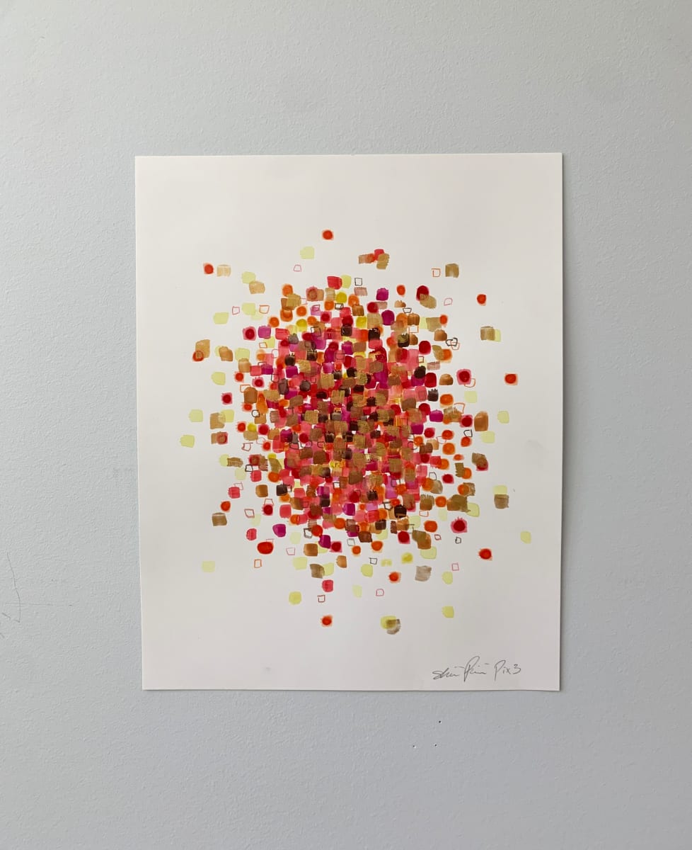 Pix 3 Starburst by Shiri Phillips 