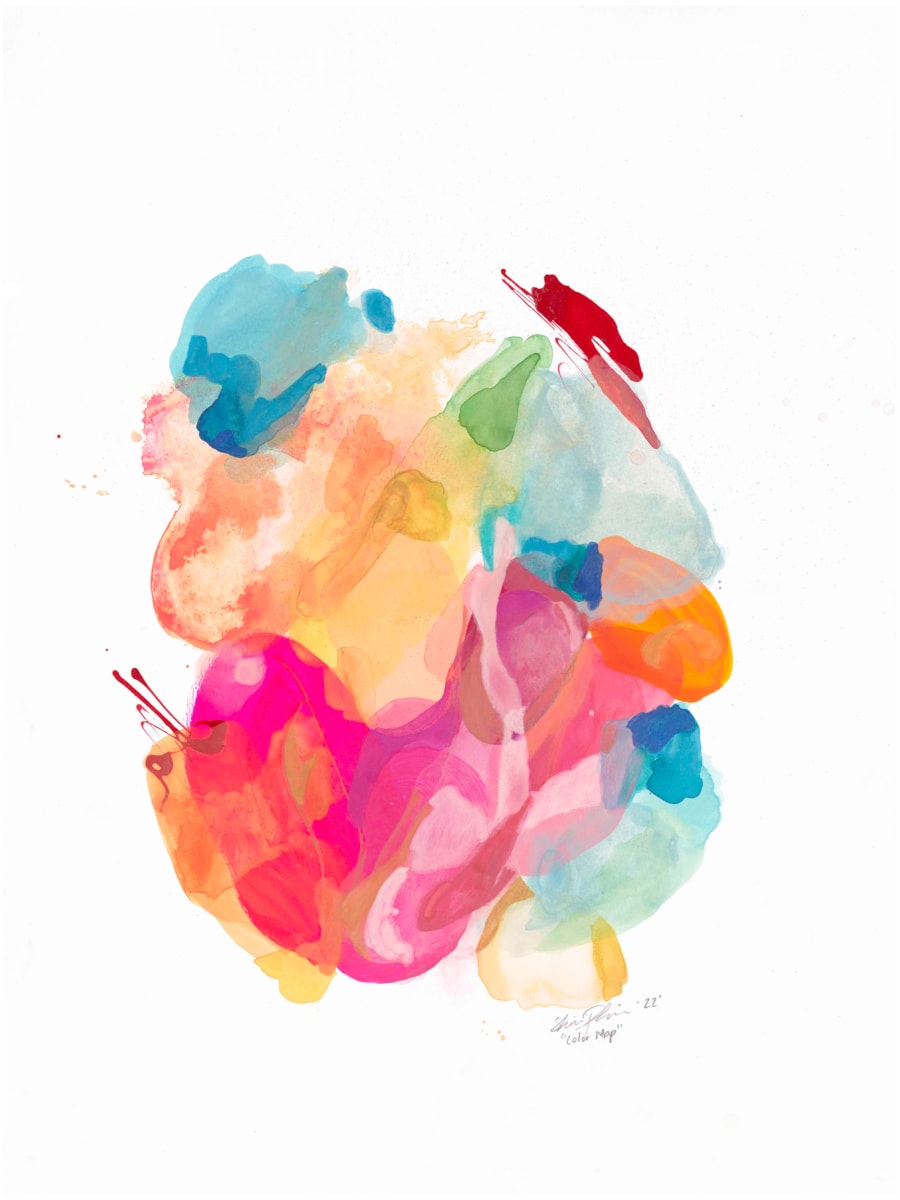 Color Map by Shiri Phillips 