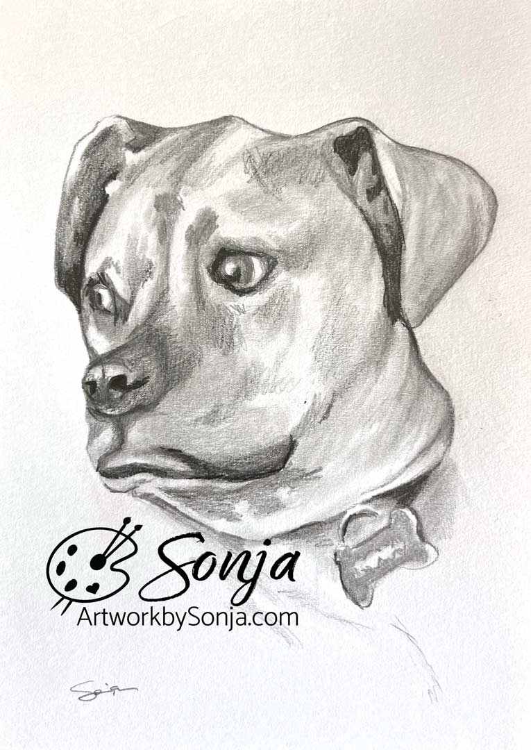 Beloved Pup Pet Portrait by Sonja Petersen 