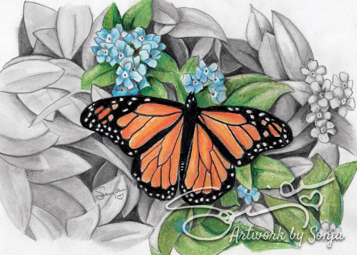 Butterfly No. 3 by Sonja Petersen  