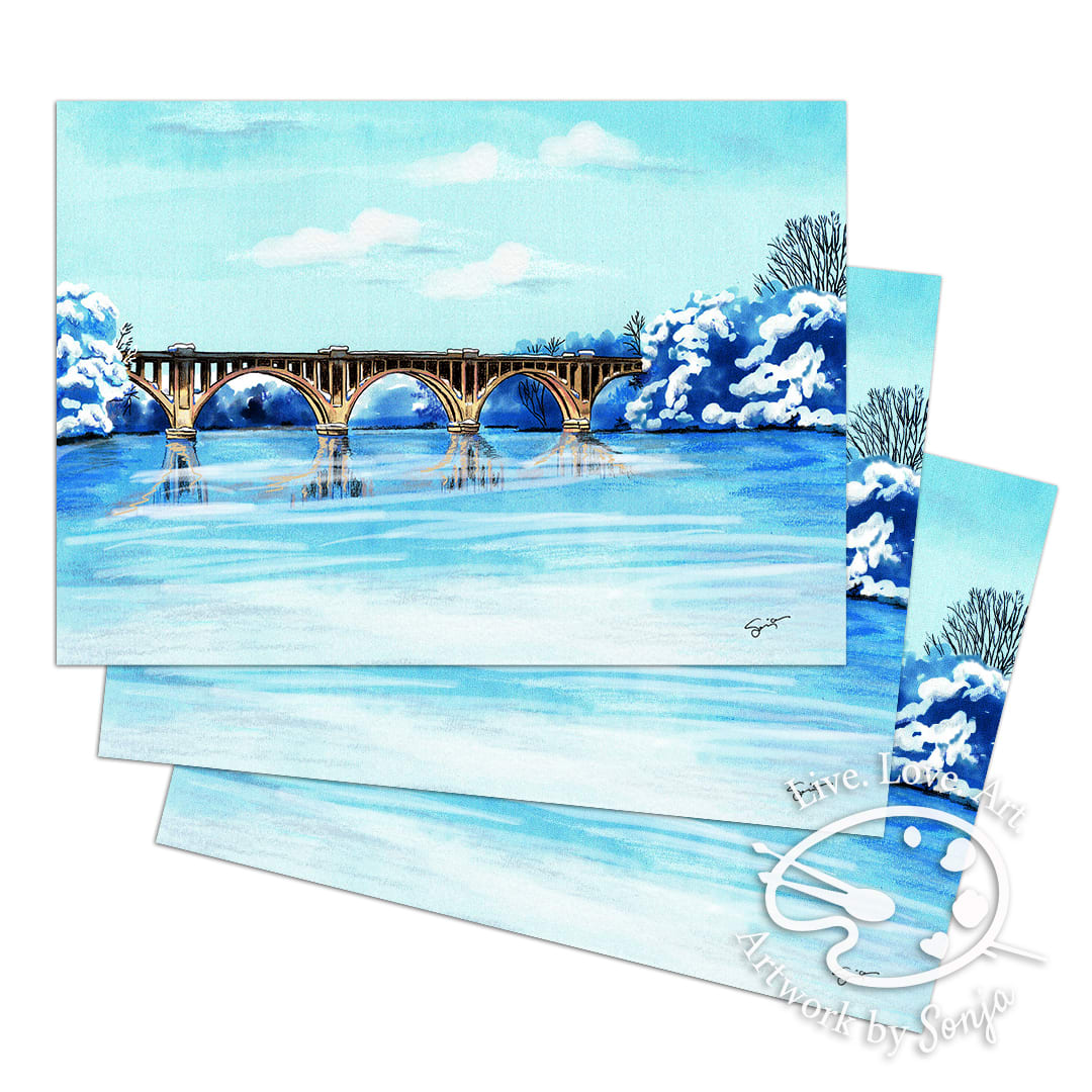 Winter at City Dock Fredericksburg VA Greeting Cards by Sonja Petersen 