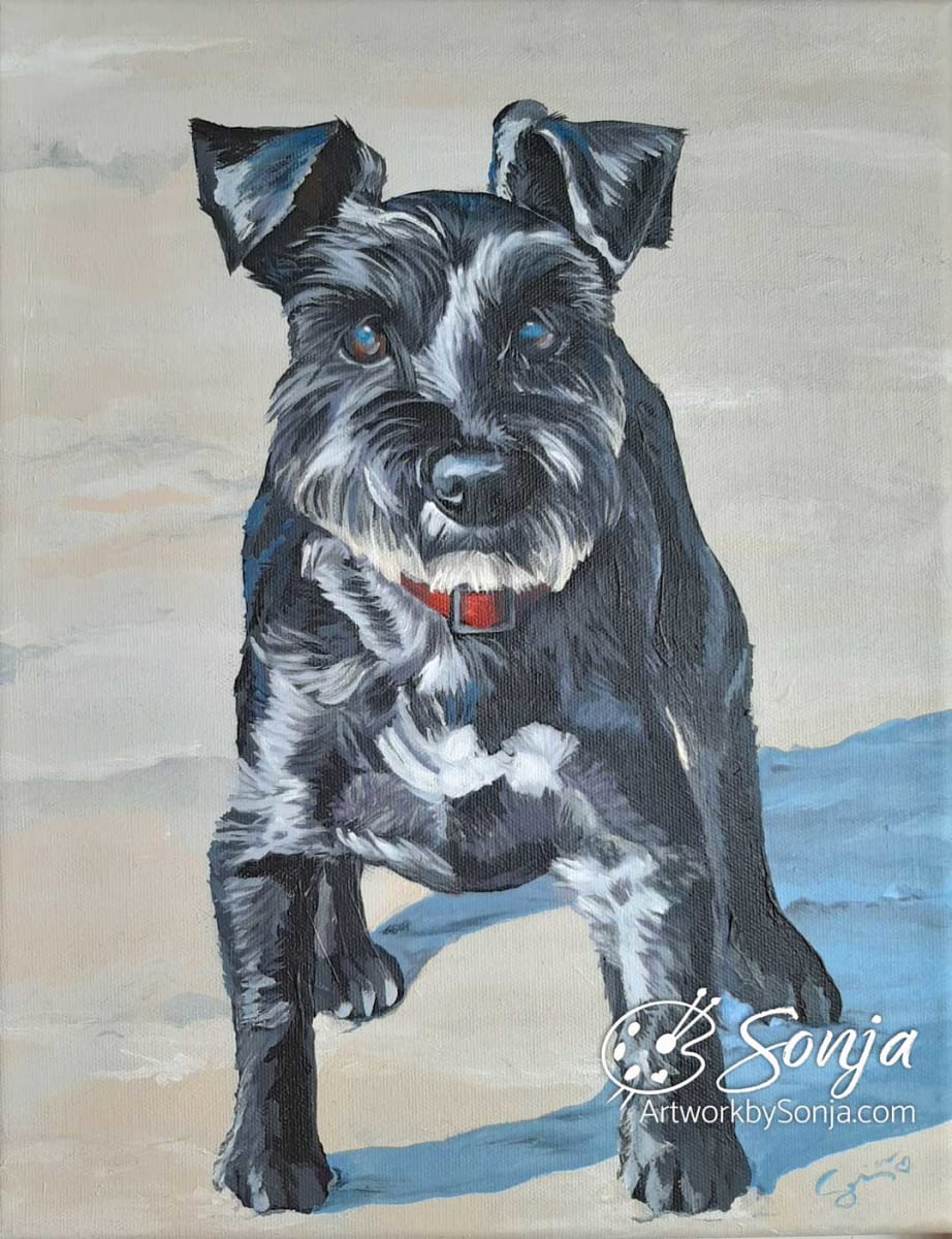 Schnauzer Pet Memorial Painting by Sonja Petersen 