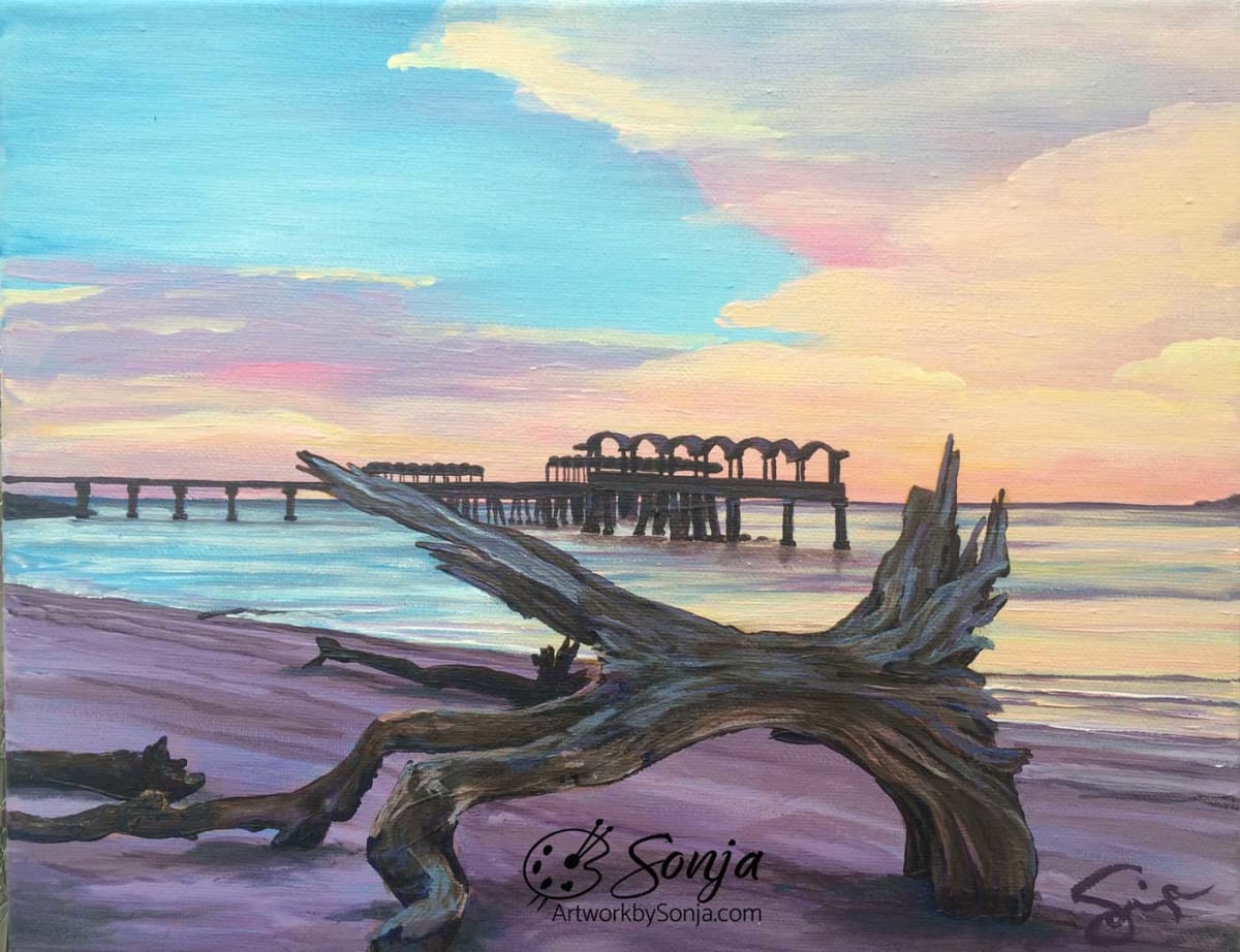 Driftwood by Sonja Petersen 