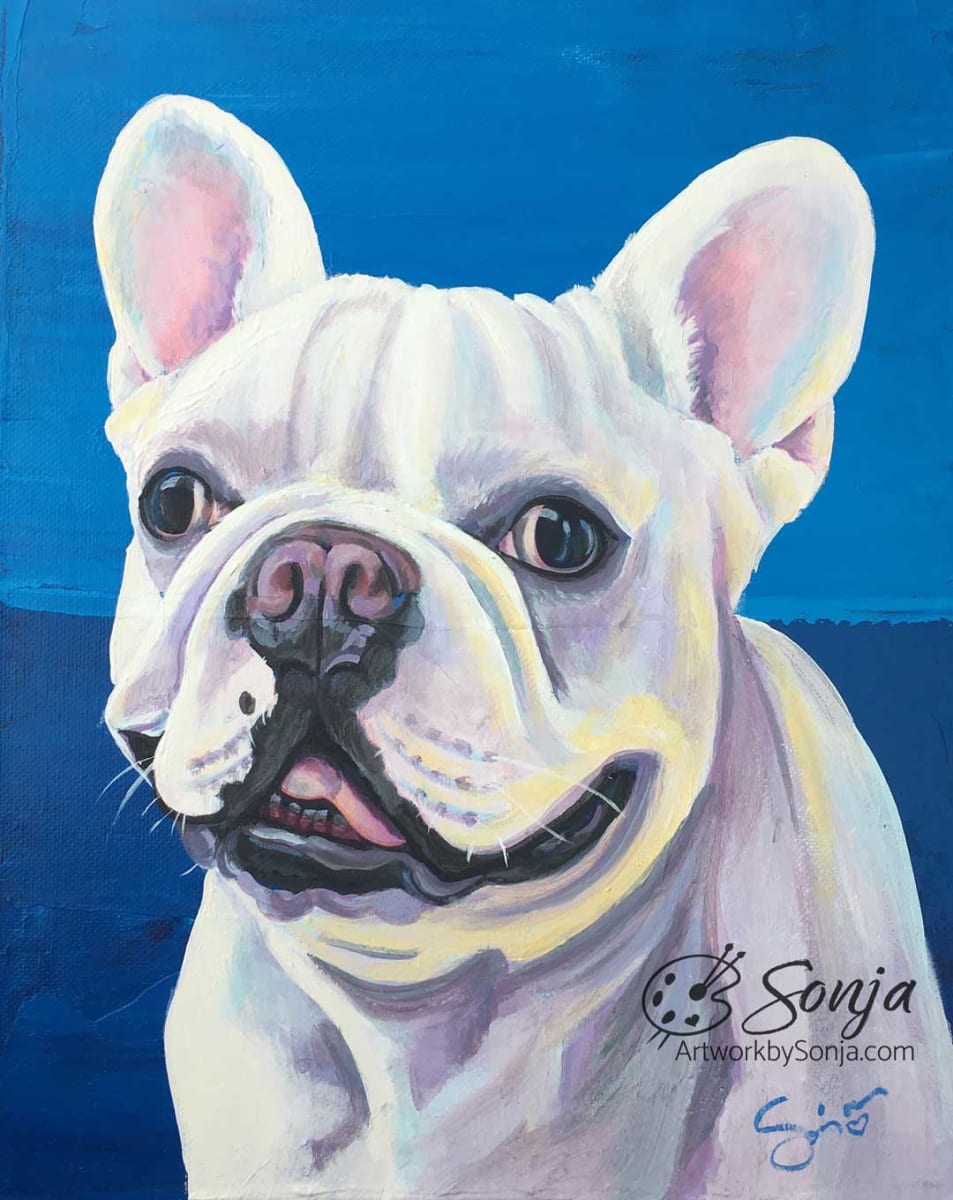 Frenchie Painting on Canvas by Sonja Petersen 
