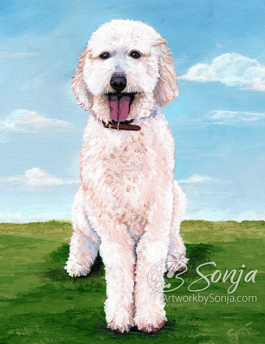 Golden Doodle Pet Portrait by Sonja Petersen 