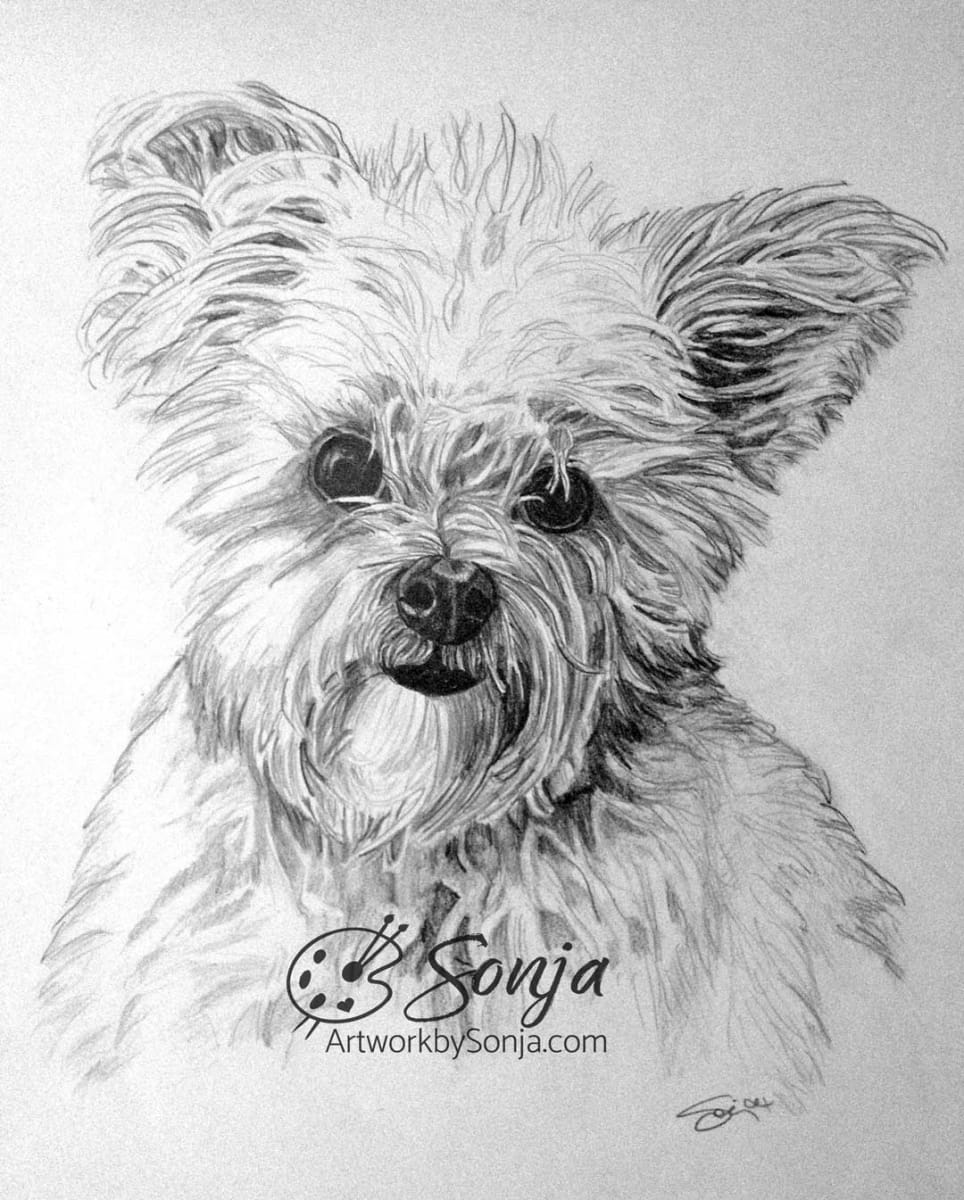 Jake the Fuzzy Dog Pet Portrait by Sonja Petersen 