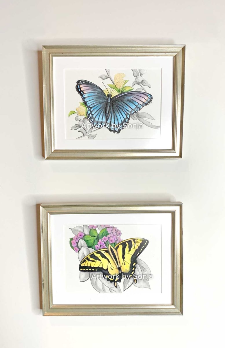 Pair of Butterflies Commissioned 