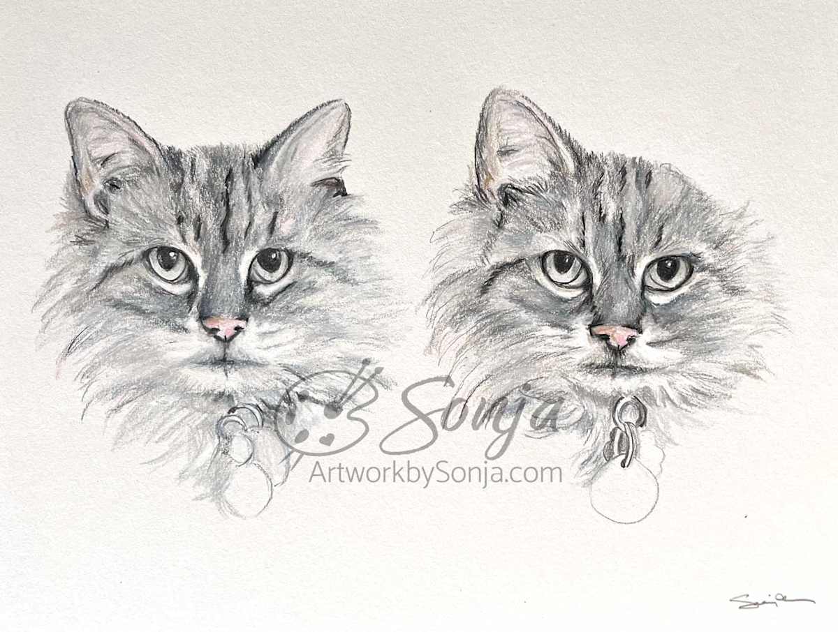 Cat Memorial Drawing by Sonja Petersen, Image 1.