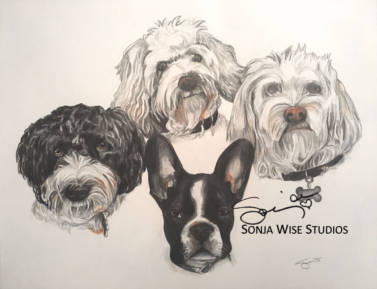 Four Dogs Pet Portrait by Sonja Petersen  