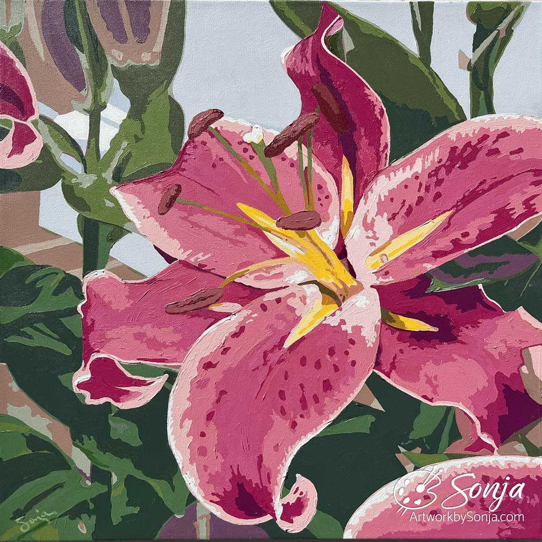 Stargazer Dreams by Sonja Petersen 