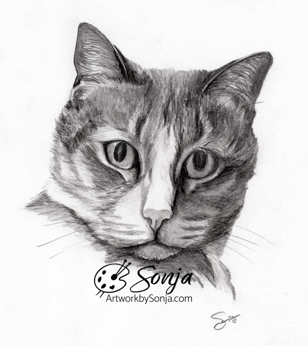 Cat Memorial Pet Portrait by Sonja Petersen 