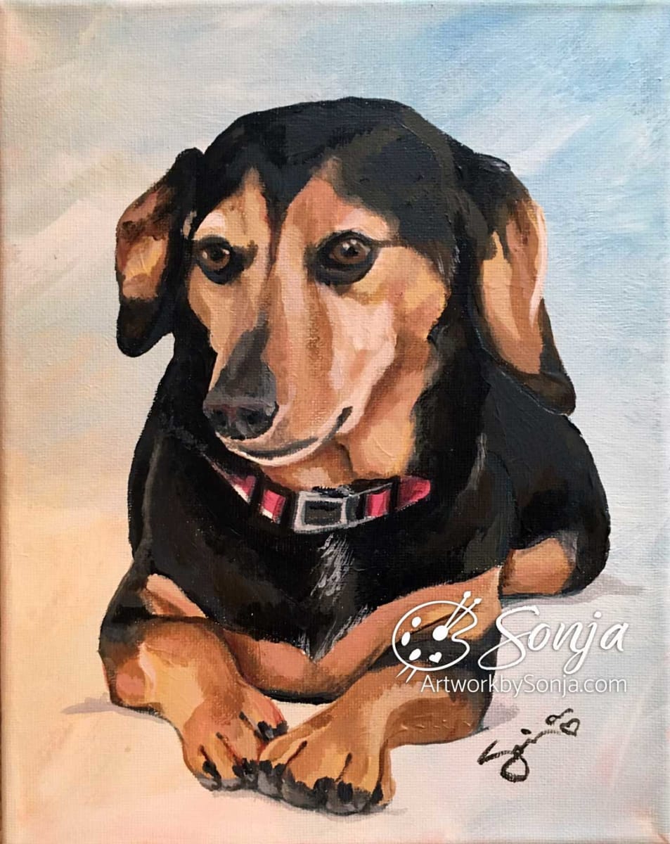 Dachshund Portrait Painting by Sonja Petersen 