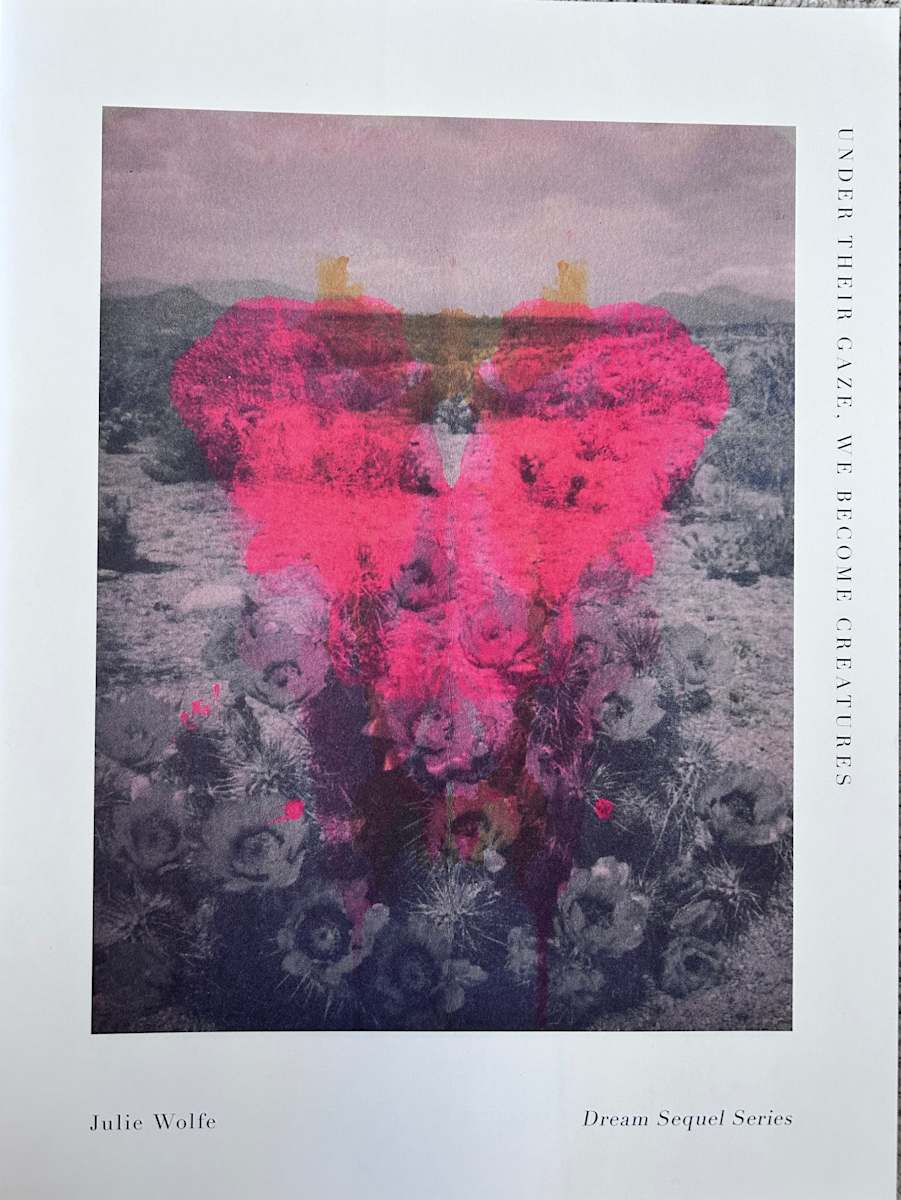 Under their Gaze, We become creatures by Julie Wolfe 