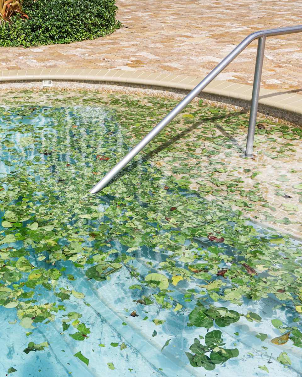 Pool after Hurricane by Anastasia Samoylova, Image 1.