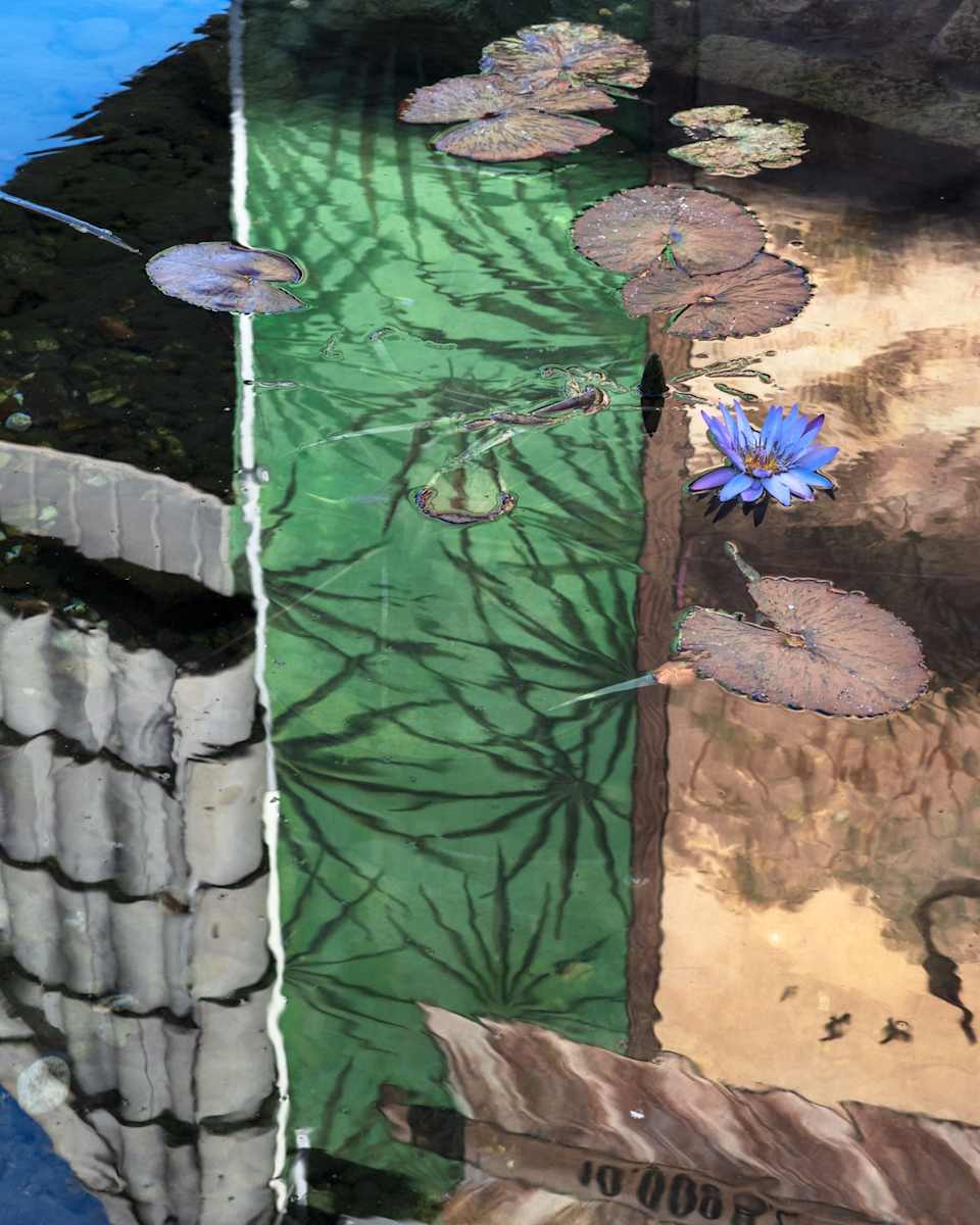 Reflection, Lake Placid by Anastasia Samoylova 