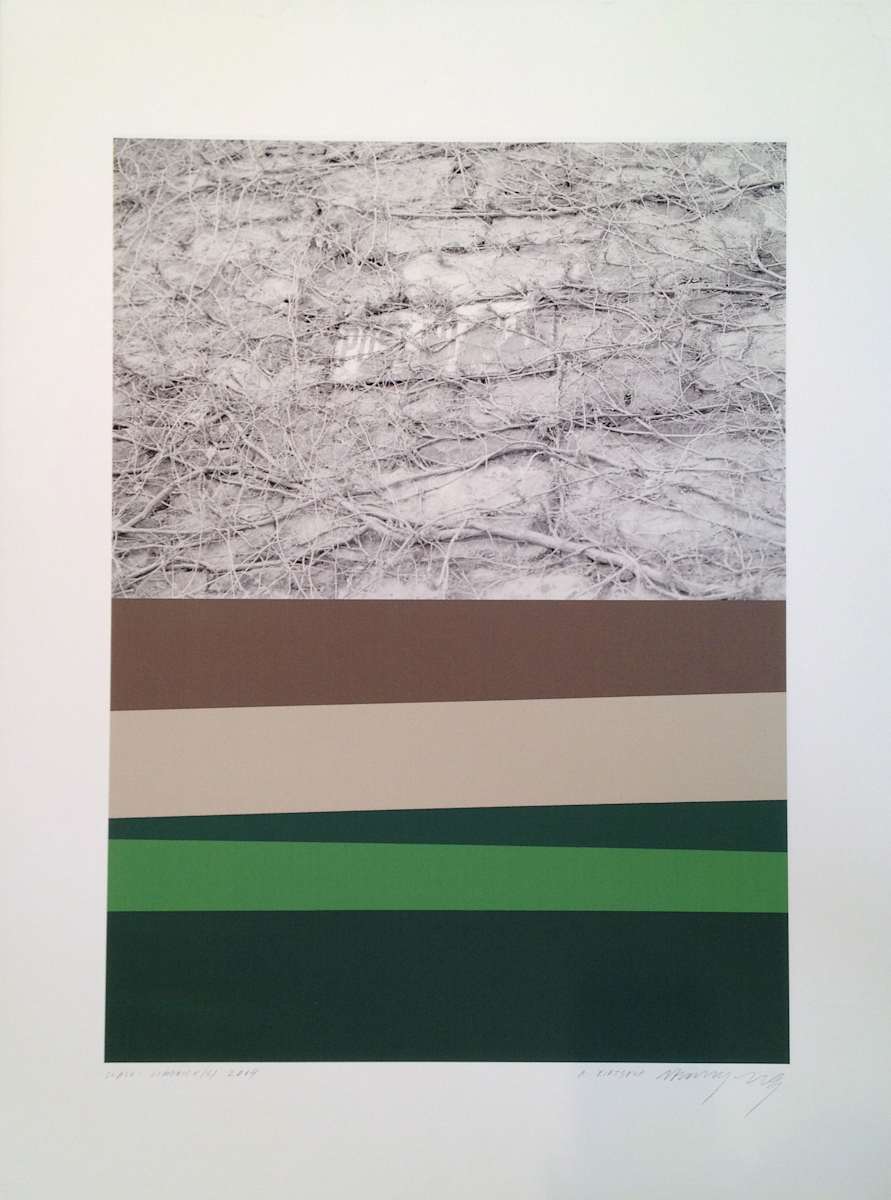 Scale Limerick(s) - Wall by Avvakumov/Kirtsova 