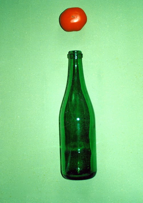 Tomato and Bottle by Leonid Borisov 