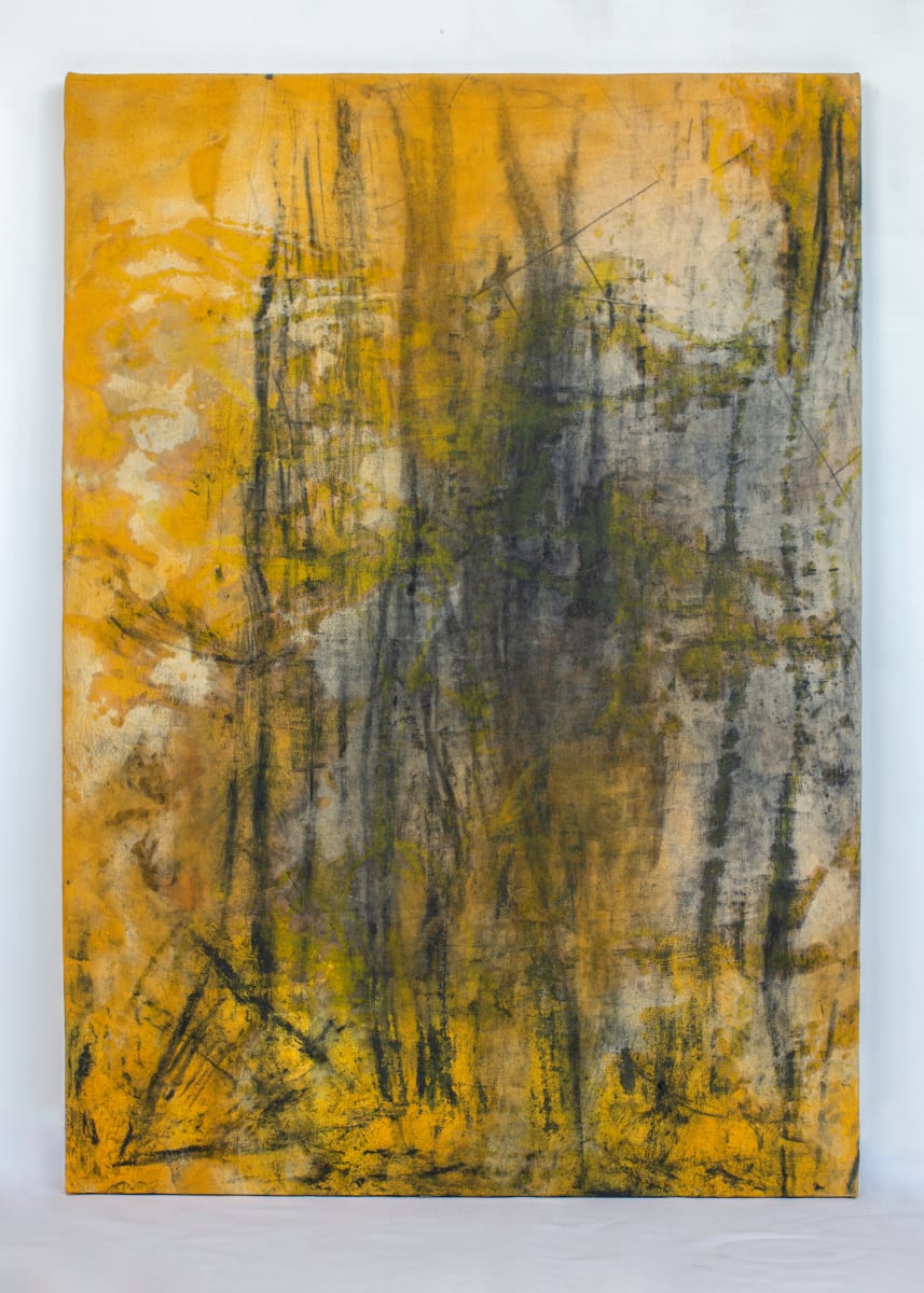 Settler Dreaming by Sarah Pumphrey 