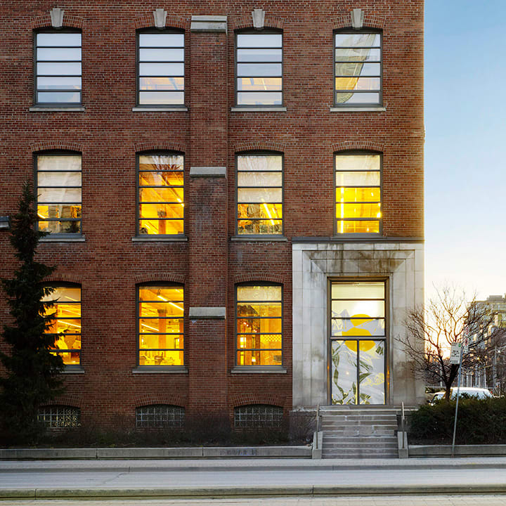 ghostbirds in winter by Susan Rowe Harrison 