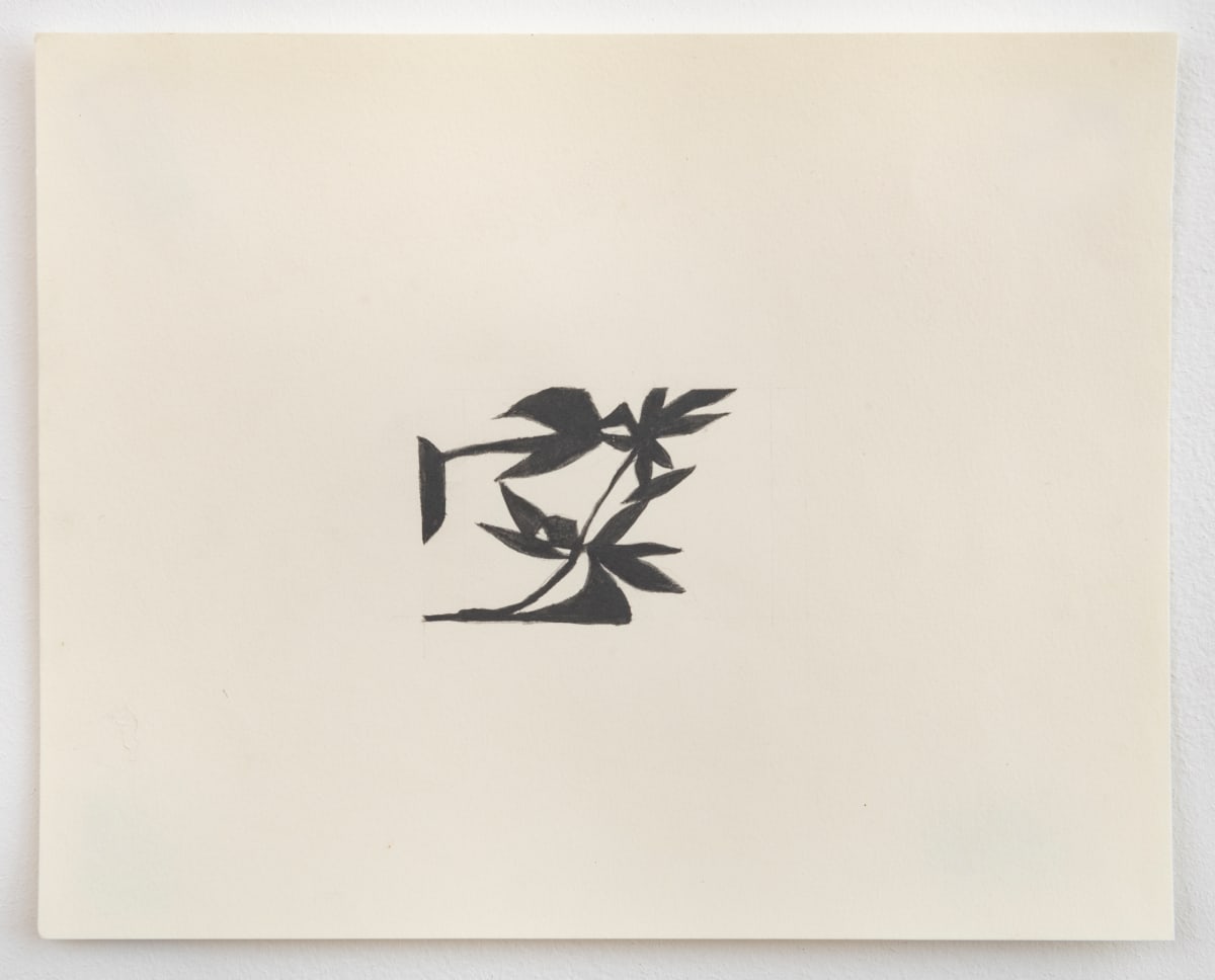 8 (shadowplant) by Susan Rowe Harrison 