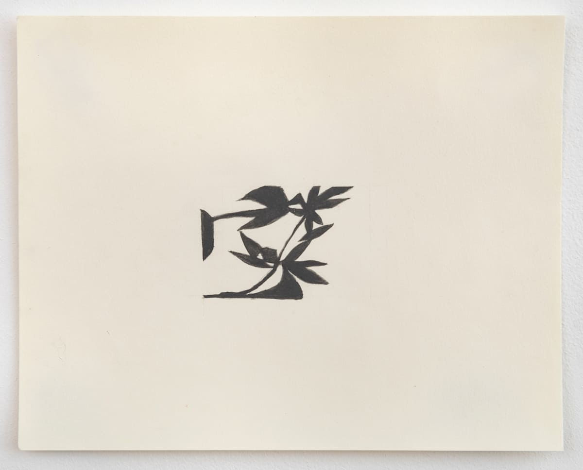 8 (shadowplant) by Susan Rowe Harrison, Image 11.