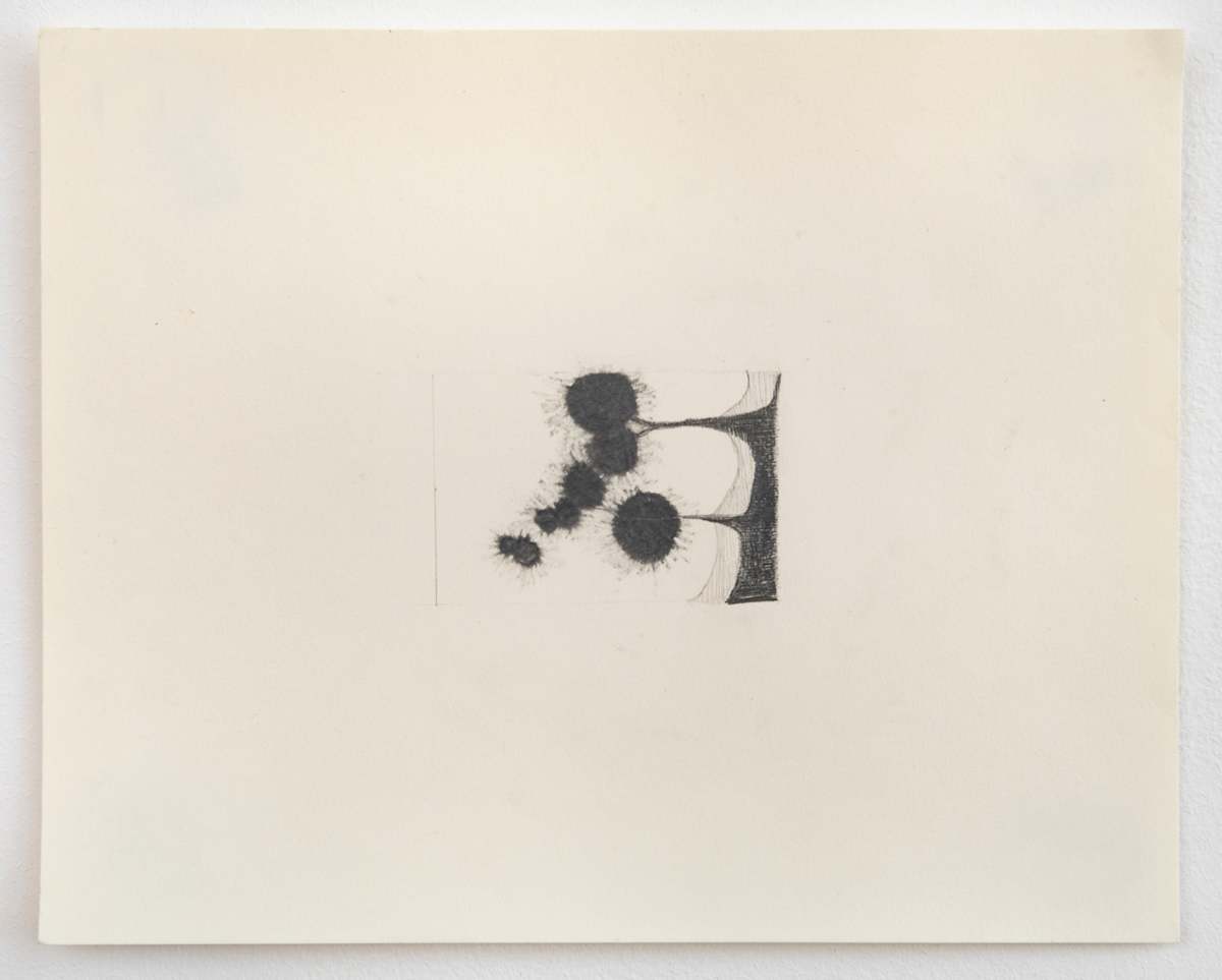 Spores by Susan Rowe Harrison, Image 5.