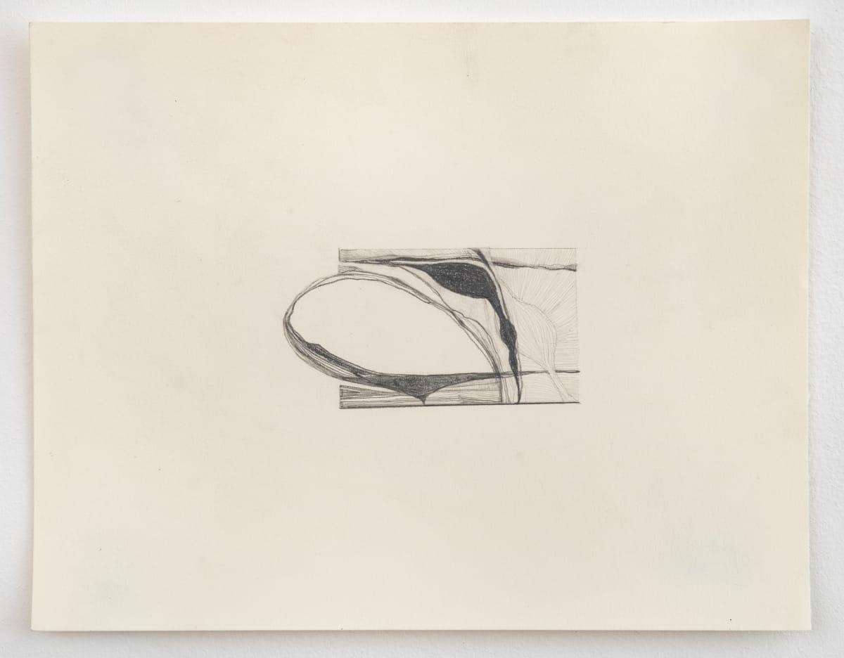 sinew by Susan Rowe Harrison 