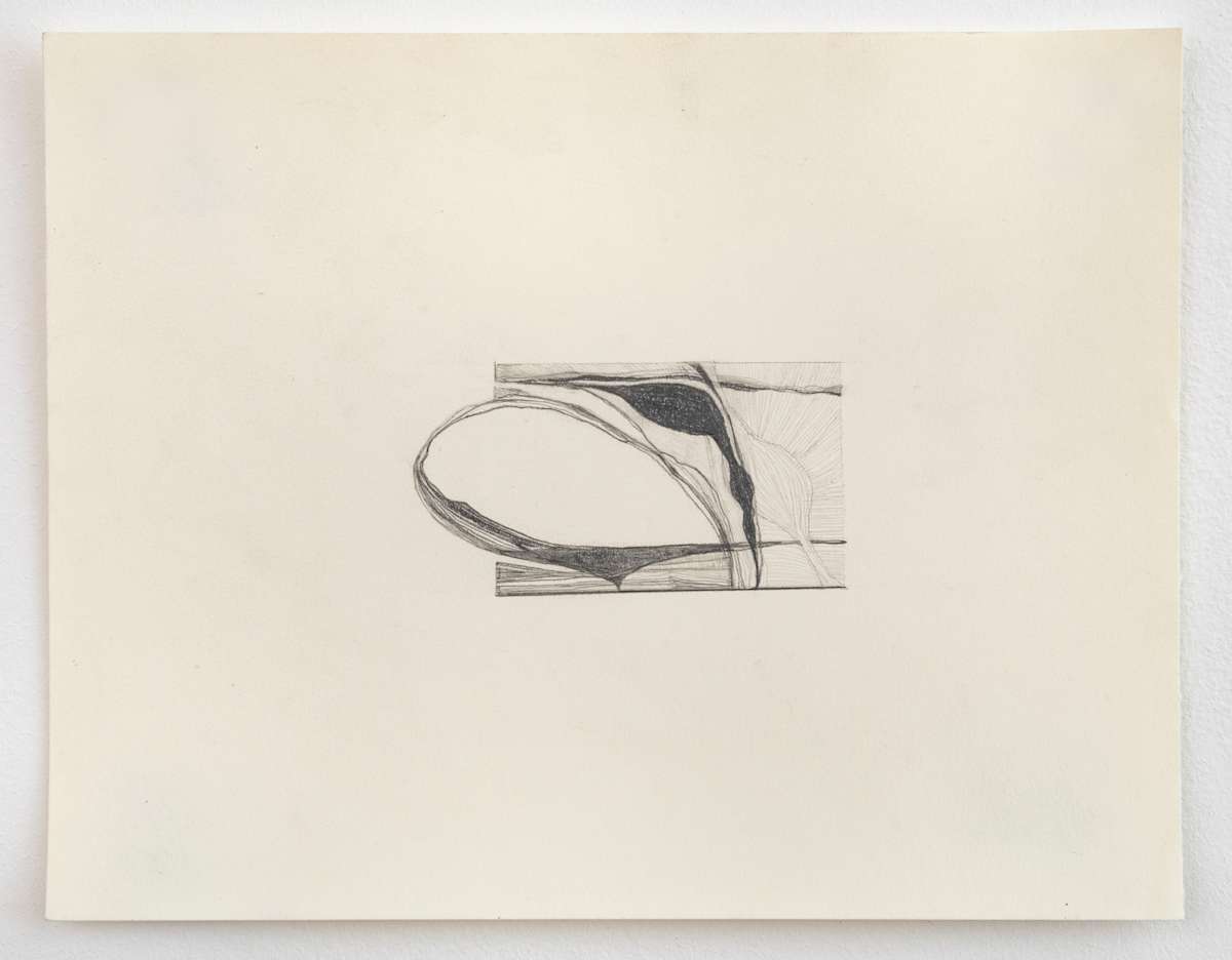 sinew by Susan Rowe Harrison, Image 10.