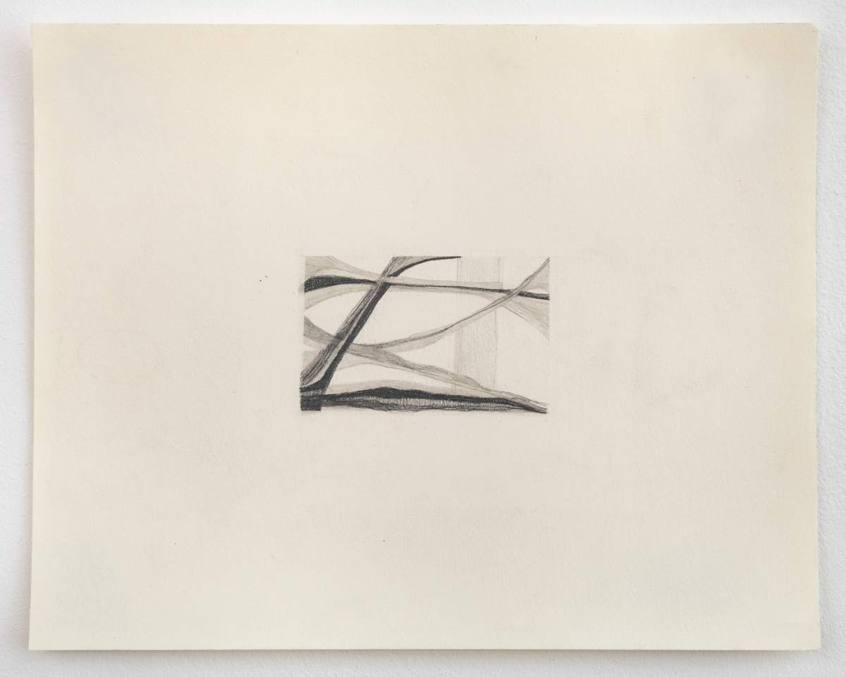 6 (Sinew) by Susan Rowe Harrison, Image 9.