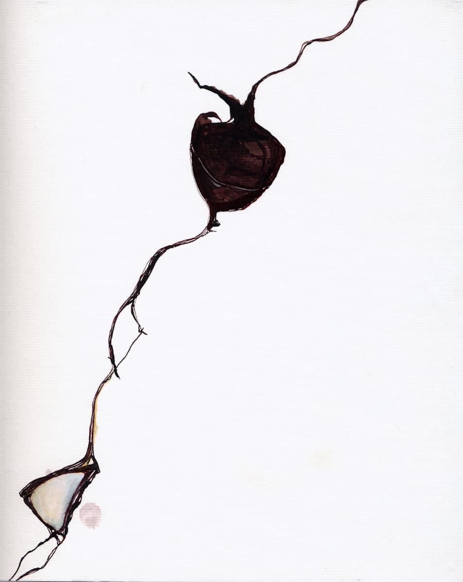 Plumb by Susan Rowe Harrison, Image 10.