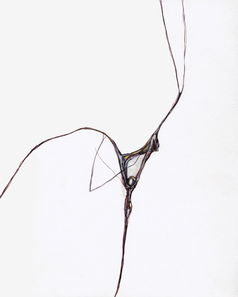 Spider Edge by Susan Rowe Harrison 