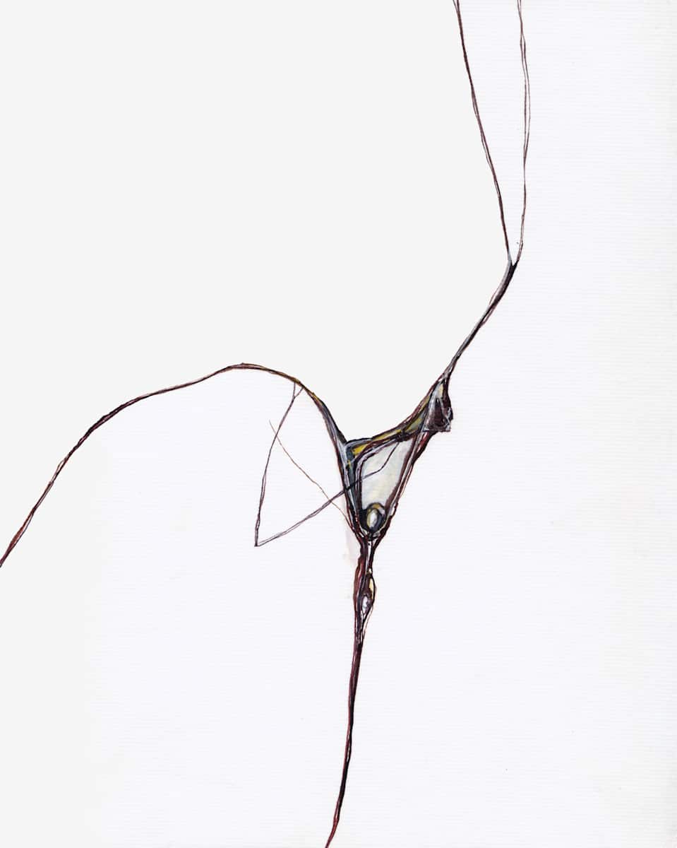 Spider Edge by Susan Rowe Harrison, Image 11.