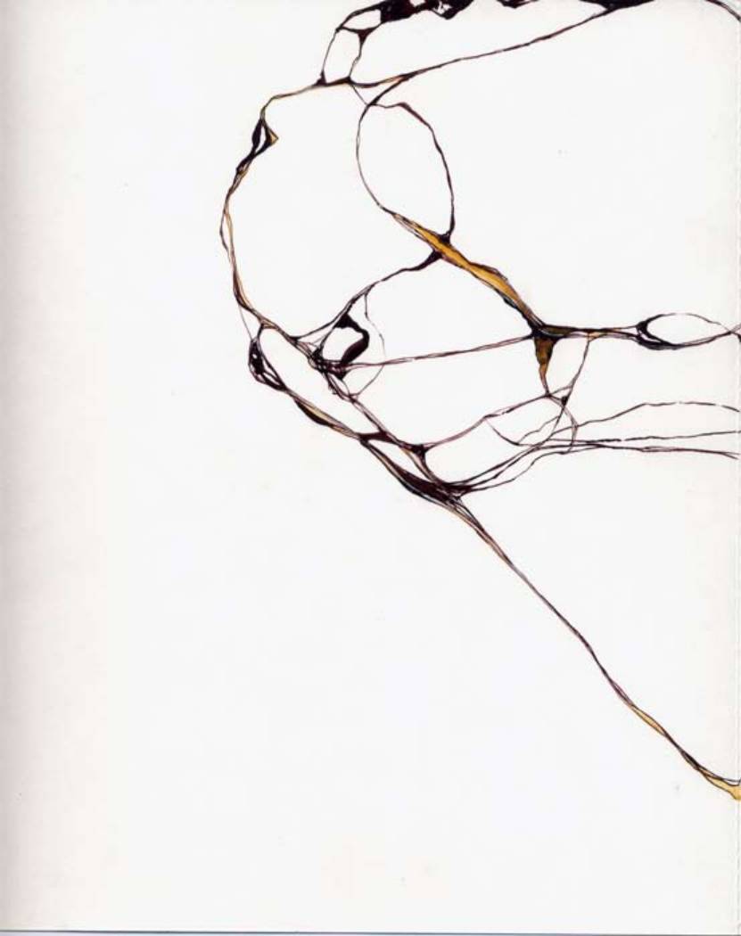 Strange Pull by Susan Rowe Harrison, Image 1.