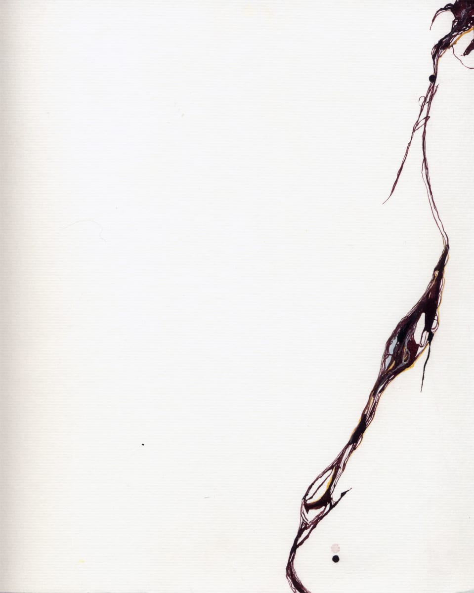 Tensile by Susan Rowe Harrison 