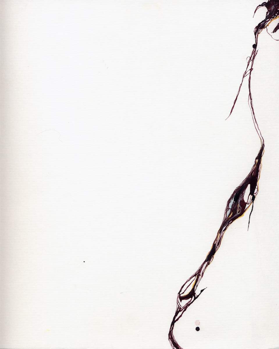 Tensile by Susan Rowe Harrison, Image 6.