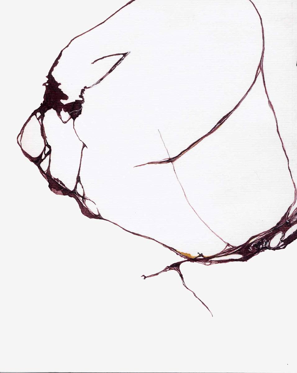 Todo a by Susan Rowe Harrison, Image 1.