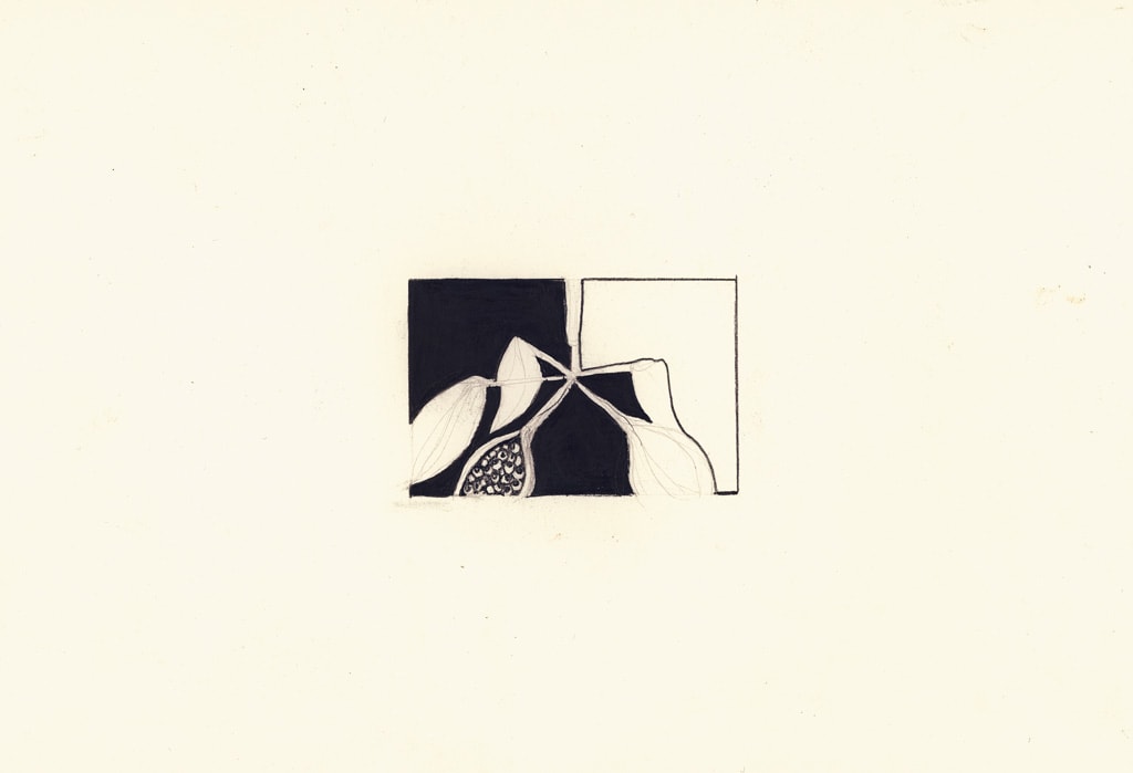 Seed Pod by Susan Rowe Harrison, Image 14.
