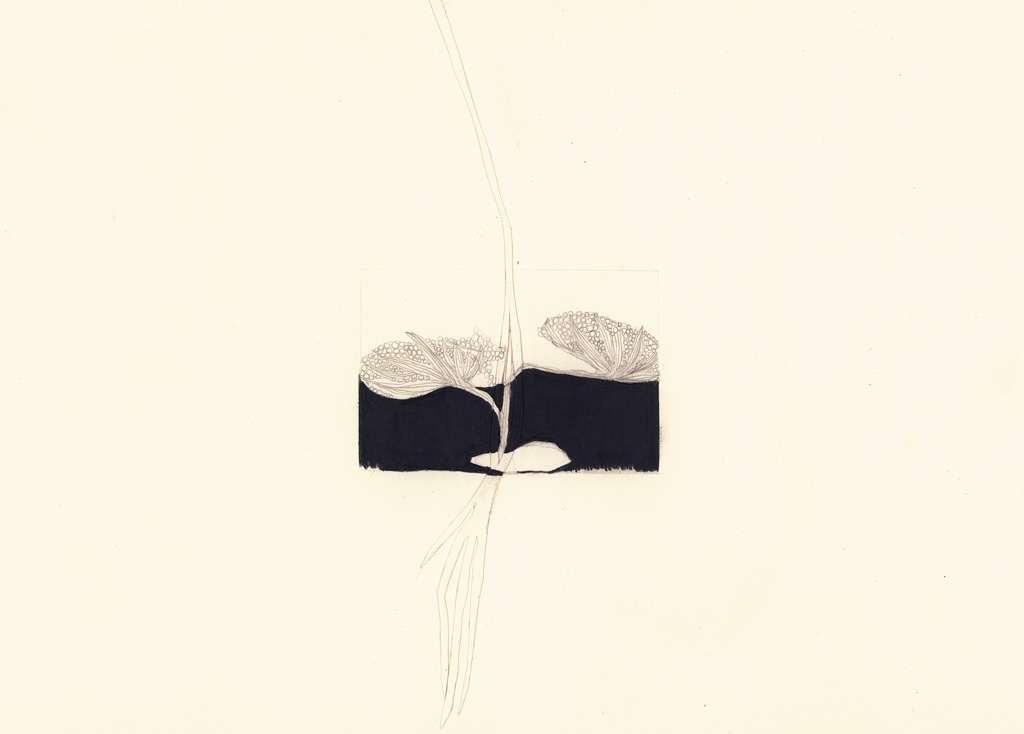 Atzavara and Roots by Susan Rowe Harrison, Image 16.
