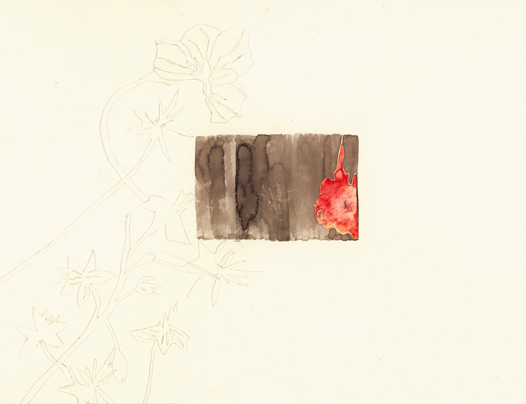So Much Darkness (diptych) by Susan Rowe Harrison 
