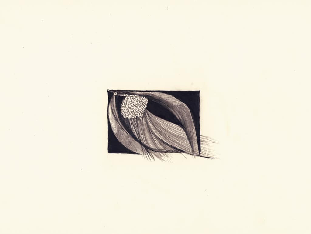 Watery Seed by Susan Rowe Harrison, Image 3.