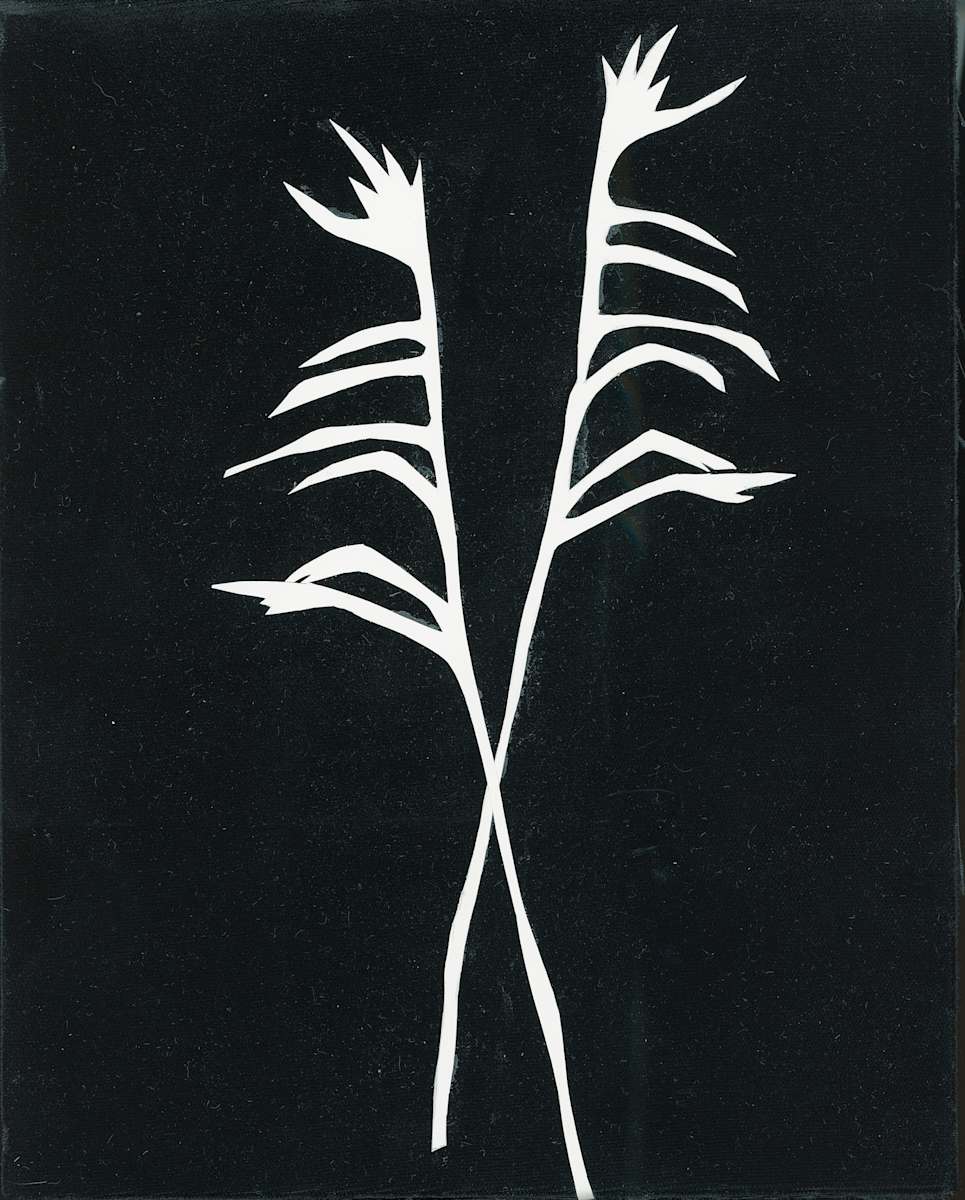 Twist by Susan Rowe Harrison, Image 1.