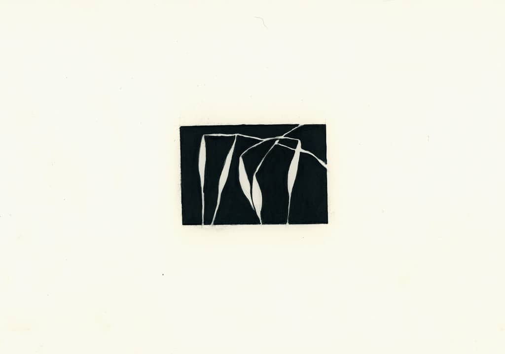 Avena Loca (5) by Susan Rowe Harrison, Image 6.