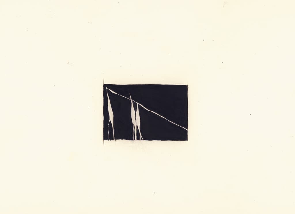 Avena Loca (9) by Susan Rowe Harrison, Image 10.