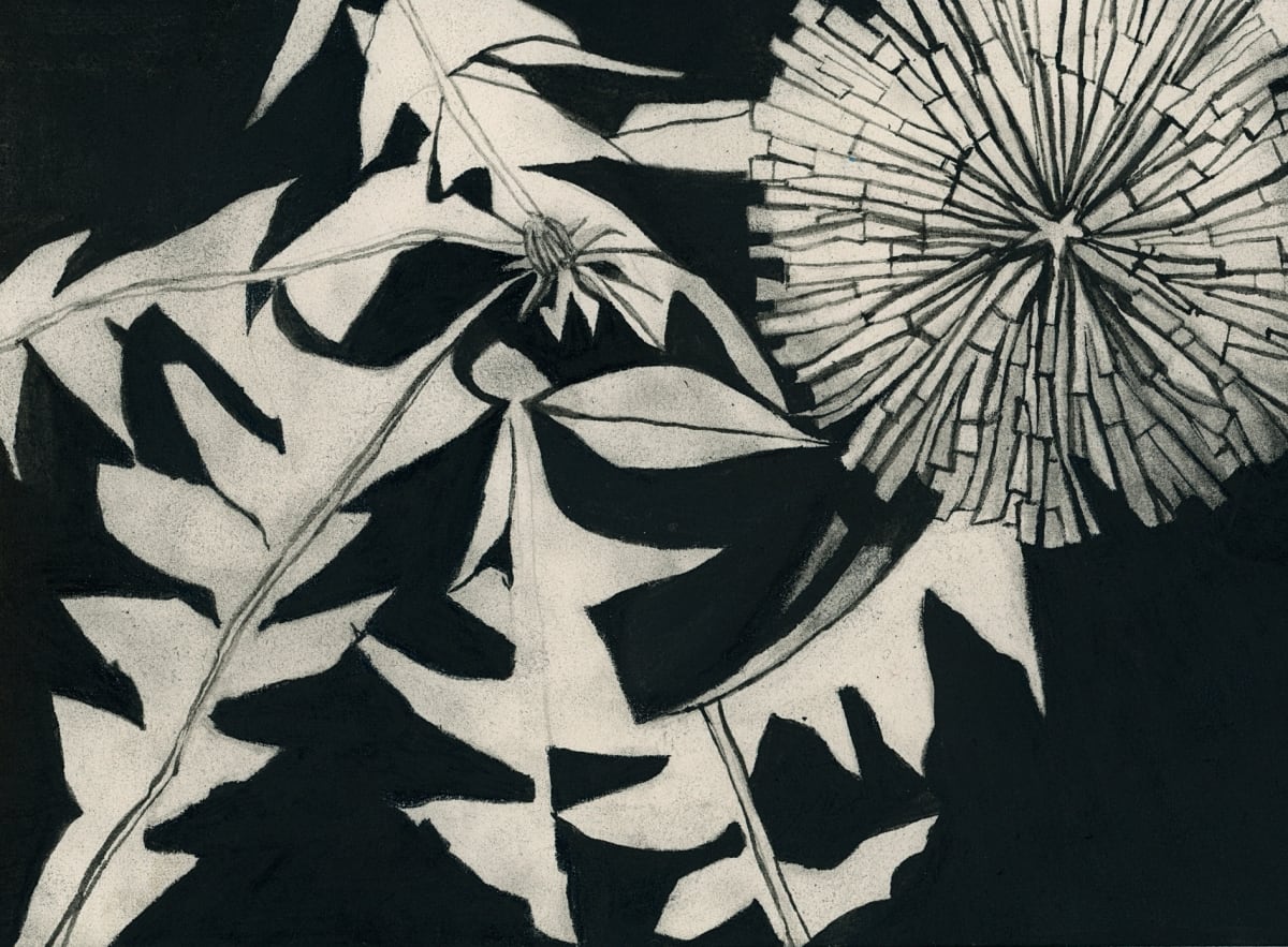 Dandelion by Susan Rowe Harrison, Image 1.