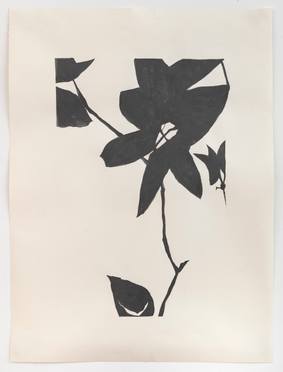 Flower, not Flower by Susan Rowe Harrison, Image 2.