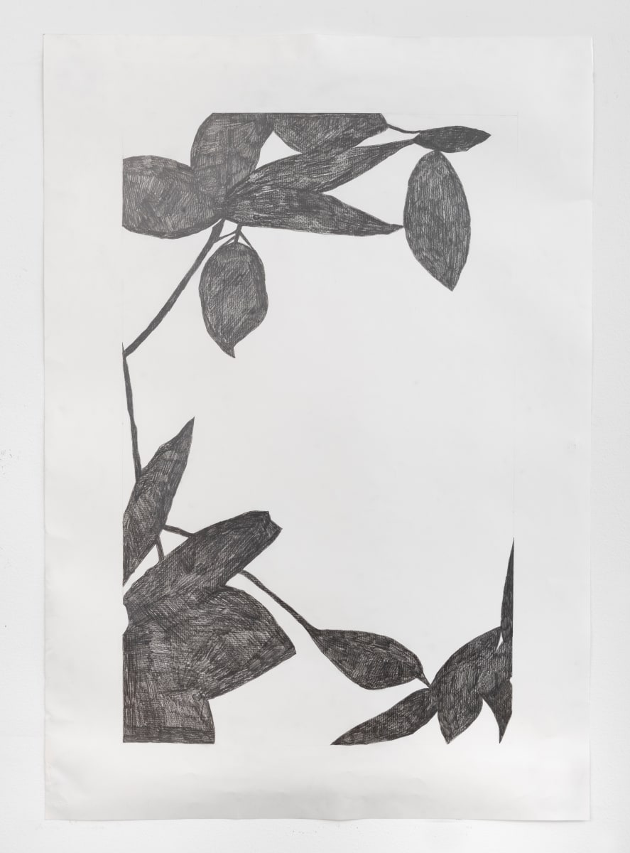 Leaf Light by Susan Rowe Harrison 