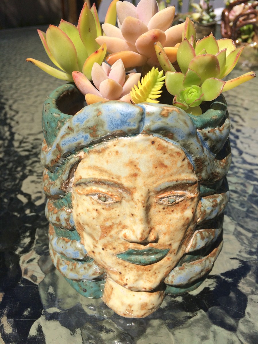 Blue Medusa succulent pot by Nell Eakin 